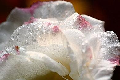 《异度神剑3》季票首发日同步上线 未来将推出全新原创故事